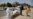 India Reports a Record 273,810 COVID Cases in One Day