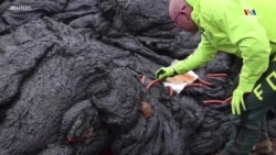 "Հրաբու՞խ է ժայթքել: Եկեք լավայի վրա խորոված անենք". ասում են իսլանդացիներն ու հավաքվում Ռեյկյանես լեռան լանջին: