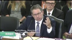 美国贸易代表办公室农业谈判代表：美国农民没有动摇