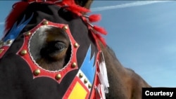 Horse in traditional regalia made by the youth at Sinte Gleska University's Tiwahe Glu Kini Pi program