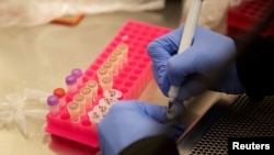 FILE PHOTO: Researchers work with coronavirus samples as a trial begins to see whether malaria treatment hydroxychloroquine can prevent or reduce the severity of the coronavirus disease, at the University of Minnesota in Minneapolis, March 19, 2020. 