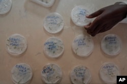 A lab technician works on seed viability at the Genetic Resources Research Institute seed bank in Kiambu, Kenya, Nov. 14, 2024.