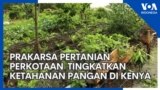 Prakarsa Pertanian Perkotaan Untuk Tingkatkan Ketahanan Pangan di Kenya