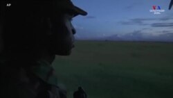 Աֆրիկայում զբոսաշրջիկների բացակայության պատճառով վայրի կենդանիների պաշտպանությունն ավելի է բարդացել