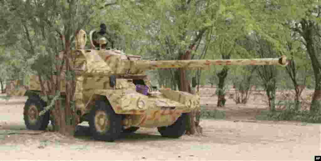 A Nigerian tank is hidden in a small thicket of trees in Marte, Nigeria.