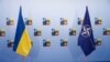 Киев отреагировал на слова главы офиса генсека НАТО о сдаче территорий 