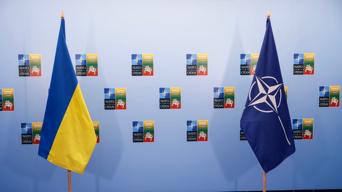 Членство Украины в НАТО: дискуссии и уточнения