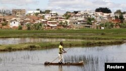 Wabah pes melanda negara pulau Madagaskar setiap tahun (foto: ilustrasi).