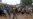 Locked in Power Struggle, Congo Army, Militia Massacred Hundreds