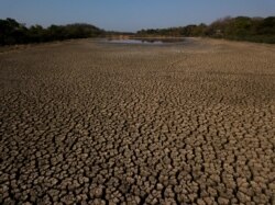 지난 10월 파라과이 림피오에서 가뭄으로 세로 늪지대 일부가 말라붙었다.