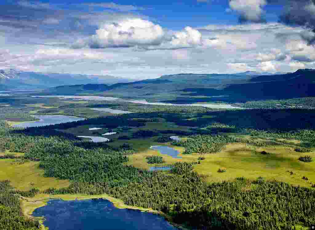 Alpine lakes and forest, in Denali National Park, Alaska. Mount McKinley or Denali (&quot;The Great One&quot;) in Alaska is the highest mountain peak in North America, at a height of approximately 20,320 feet (6,194 m) above sea level. It is the centerpiece of Denali National Park. (Carol M. Highsmith, Library of Congress Collection)