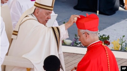 Pope Francis Creates 21 New Cardinals to Help Reform Church