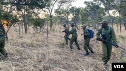 International Anti-Poaching Foundation rangers on a drill near Mana Pools National Park, about 300 kilometers north of Harare. (Columbus Mavhunga/VOA) 