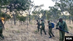 International Anti-Poaching Foundation rangers on a drill near Mana Pools National Park, about 300 kilometers north of Harare. (Columbus Mavhunga/VOA) 