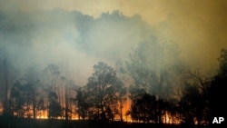 FILE - A bushfire burns in Bodalla, New South Wales, Australia, Jan. 25, 2020.