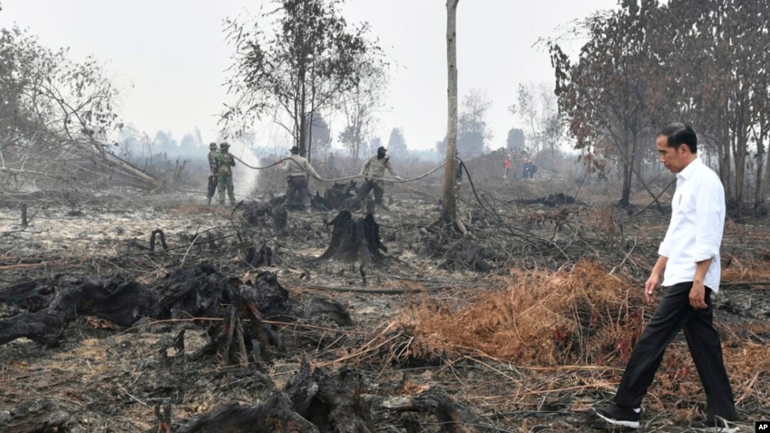 Atasi Kebakaran Hutan Pemerintah Kirim Personel Dan Pesawat Tambahan Ke Riau