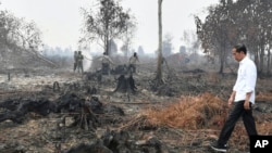 Presiden Jokowi saat meninjau lokasi kebakaran hutan di Pelalawan, Riau, 17 September 2019.