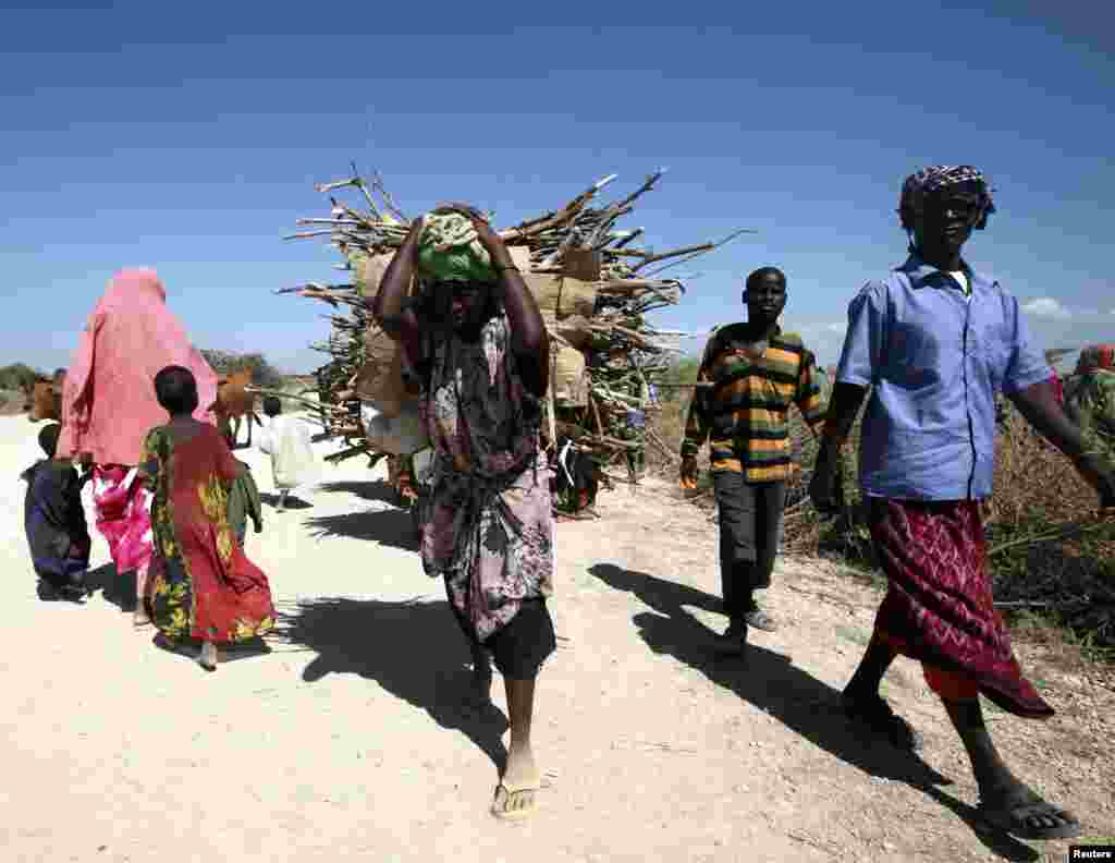 A woman carries bundles of firewood on her back to be delivered for use as fuel for cooking for people displaced as a result of flooding in areas around the town of Jowhar, north of Somalia&#39;s capital Mogadishu, Dec. 10, 2013.