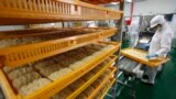 Kể từ ngày 17/2/2022, EU áp dụng yêu cầu về chứng thư đối với từng lô sản phẩm mì ăn liền nhập khẩu vào khu vực này, sau khi hàng loạt quốc gia thành viên cảnh báo hoặc thu hồi một số sản phẩm mì ăn liền của Việt Nam.