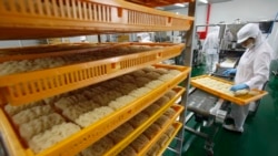 경제가 보인다: 느릅나무 껍질 국수 공장 방문기