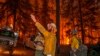 3 Petugas Pemadam Tewas dalam Kebakaran Hutan di Washington
