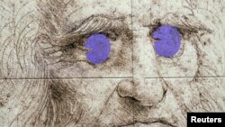 Leonado's Da Vinci picture 