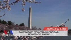 ამერიკა 60 წამში