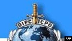 Qırğızıstanın müvəqqəti hökuməti İnterpoldan Kurmanbek Bakiyevin həbsinə yardım etməsini xahiş edib