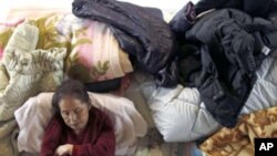 지진 피해자 수용시설의 일본인