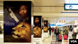 Ads opposing the lion bone trade posted at Johannesburg airport. (Avaaz)