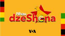 Nhau dzeShona