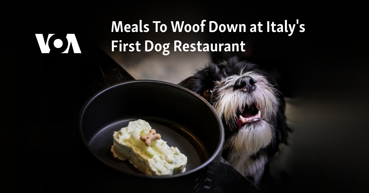 Meals To Woof Down at Italy's First Dog Restaurant