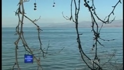 Ekosistemi i Liqenit të Shkodrës