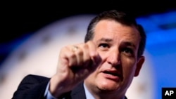 FILE - In this Sept. 26, 2014 file photo, Sen. Ted Cruz, R-Texas speaks in Washington.