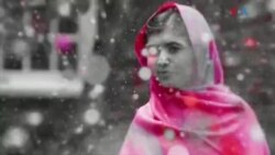 بي بي شیرینه – وي او اې ډيوه په ټیلې ویژن