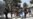 Talibanes dispersan protesta: al menos tres muertos y varios heridos