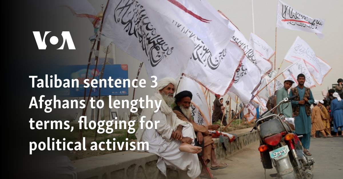 Taliban sentence 3 Afghans to lengthy terms, flogging for political activism