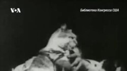 «Боксирующие коты»