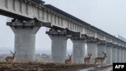 从内罗毕到蒙巴萨标准轨铁路的高架桥（2018年11月21日）