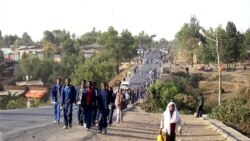 ሻሸመኔ: ብዘጋጠመ ባርዕ ሓዊ ብዝተፈጠሮ ዕግርግር ሓደ ሰብ ሞይቱ
