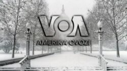 Amerika Manzaralari: Chegara va migrantlar, tibbiy tarjimonlar, zilzila