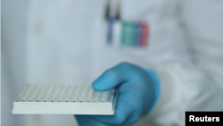 A scientist works in the lab at the Roslin Institute in Edinburgh, Scotland, amid the outbreak of the coronavirus disease (COVID-19), on May 13, 2020. (REUTERS/Russell Cheyne)