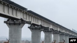 
Ujenzi wa reli ya Standard Gauge (SGR) katika Mbuga ya Kitaifa ya Nairobi, Kenya, Novemba 21, 2018. Picha na Yasuyoshi CHIBA / AFP.
