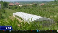 Mbështetje për krijimin e fermave të agroturizmit