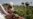 UN: Afghan Opium Production Down 48%