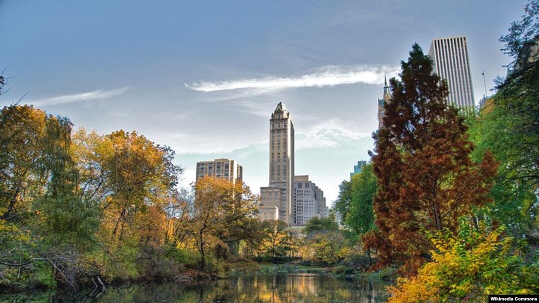 Dengan perencanaan tata kota yang lebih baik, termasuk penyediaan taman-taman kota seperti halnya taman 'Central Park' di kota New York ini, akan membuat warga kota lebih sehat dan merasa nyaman (foto: dok).