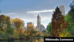 Dengan perencanaan tata kota yang lebih baik, termasuk penyediaan taman-taman kota seperti halnya taman 'Central Park' di kota New York ini, akan membuat warga kota lebih sehat dan merasa nyaman (foto: dok).