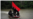 ELN: presidente colombiano busca hacer trizas la paz