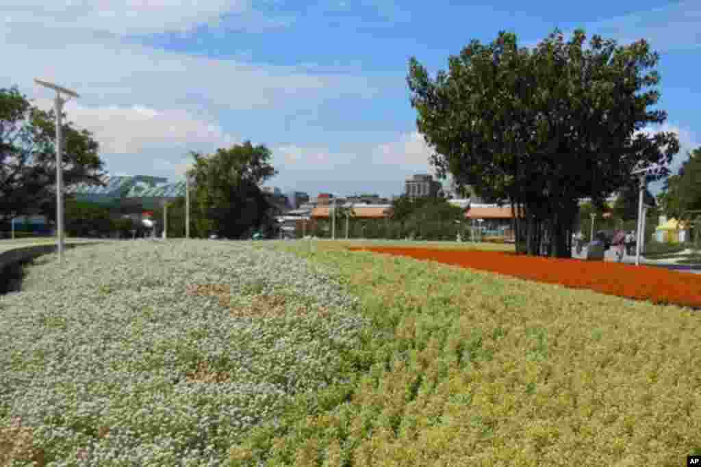 花博園區內花海處處