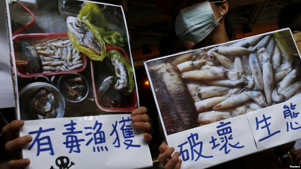 Người dân ở Đài Loan biểu tình đòi tập đoàn Formosa phải điều tra và minh bạch thông tin về vụ ô nhiễm biển ở miền Trung Việt Nam vào ngày 17/6/2016.